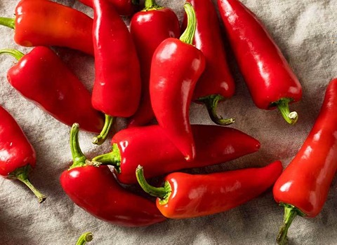 تصویر 2 از قیمت خرید تن ماهی فلفلی + فروش ویژه